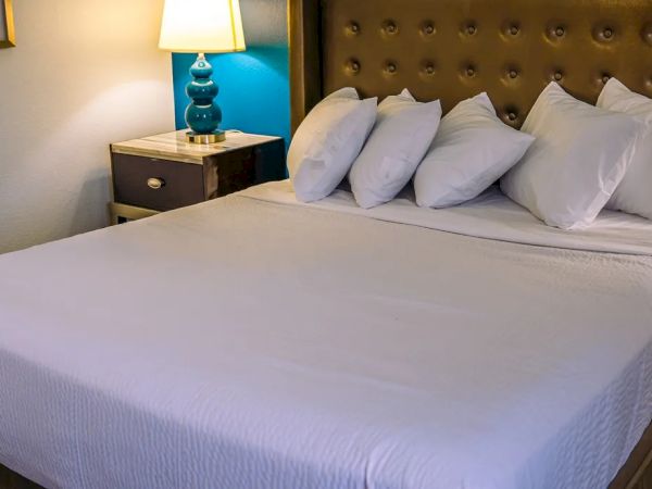 A neatly made bed with white sheets and pillows, a lamp on a bedside table, and a picture on the wall.