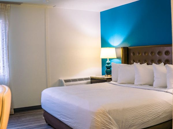 The image shows a modern hotel room with a large bed, white linens, a blue accent wall, and a lamp on the nightstand by the bed.
