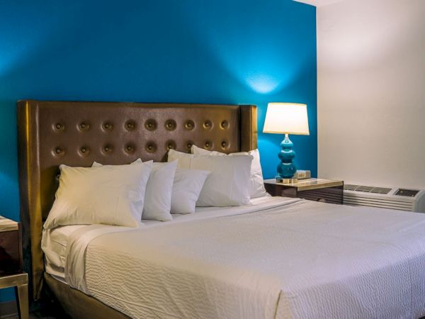 A cozy hotel room with a king-sized bed, white bedding, brown tufted headboard, blue accent wall, and bedside lamps.