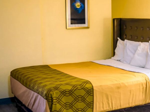 A cozy hotel room with a double bed, patterned yellow and green sheets, wall art, and a bedside table with a lamp.