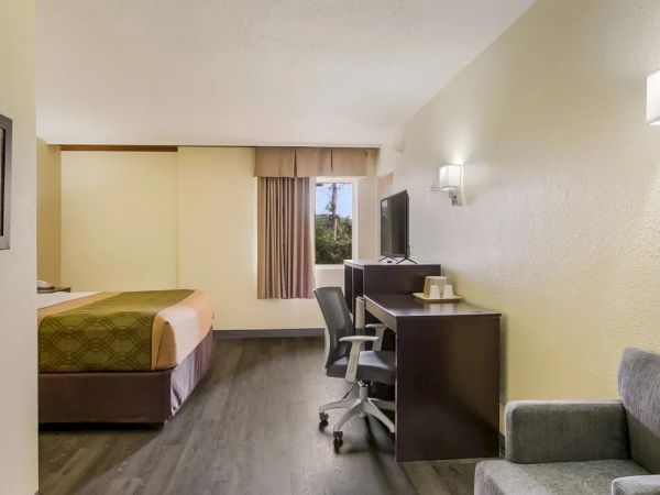 The image shows a hotel room with a bed, desk, chair, TV, couch, wall art, and window with curtains.