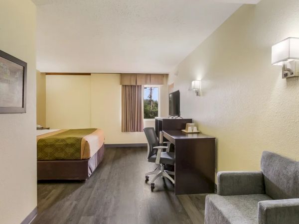 The image shows a hotel room with a bed, desk, TV, window with curtains, armchair, and wall art, all in neutral colors and modern style.